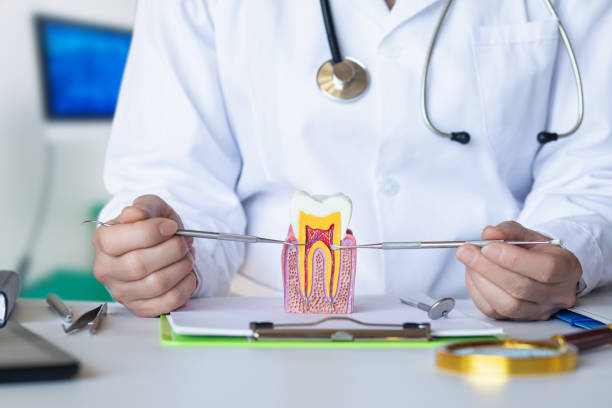 Best Emergency Dentist for Knocked-Out Tooth in Talty, TX